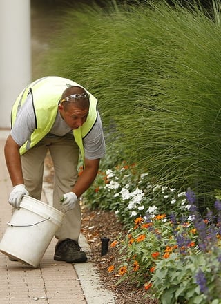 spring cleanup checklist 