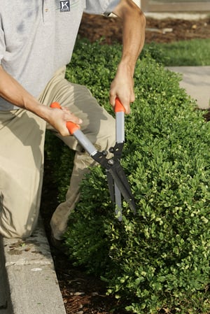 landscape maintenance