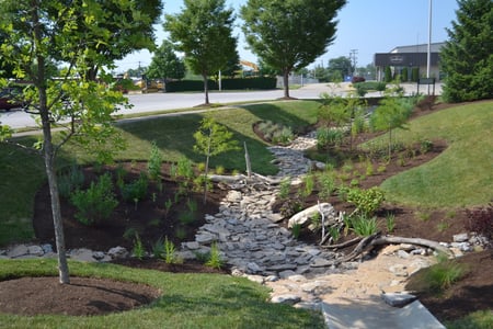Rain Garden Rain Garden