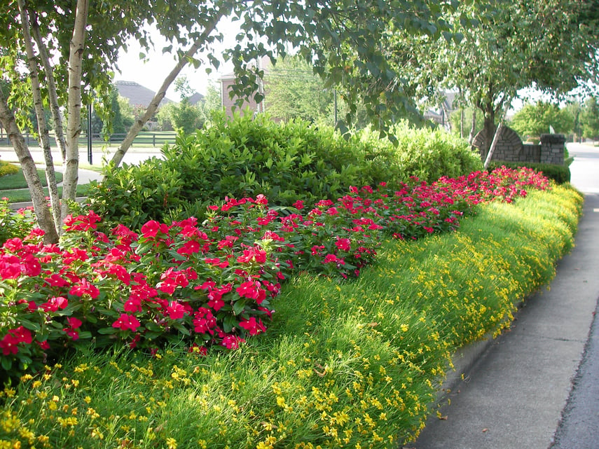 a beautiful display of landscaping