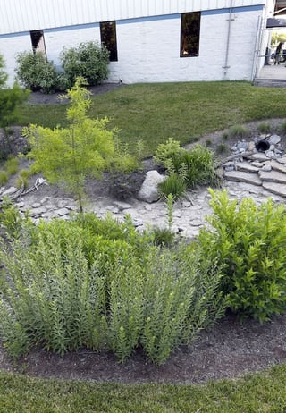 a-rain-garden.jpg