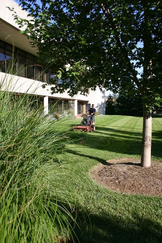 what affects the cost of landscaping in lexington and louisville