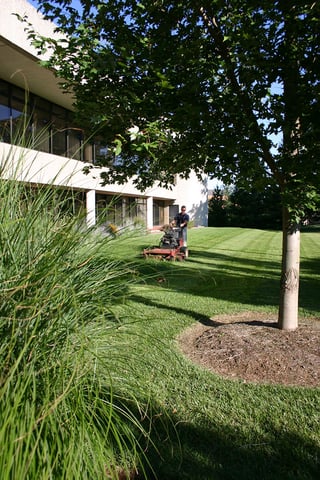 cost of commercial landscape maintenance