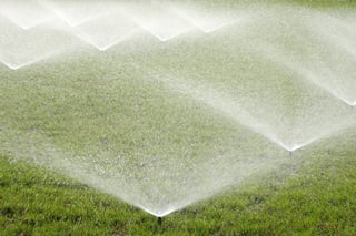 Irrigation system spraying grass