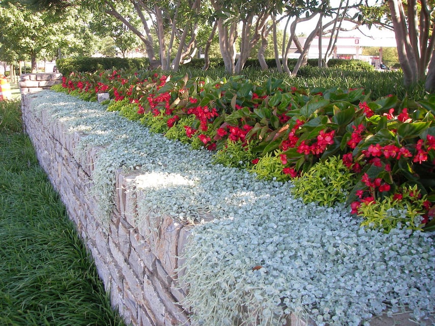 landscape maintenance at a commercial property in Kentucky