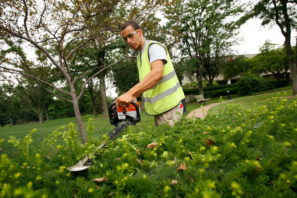 landscaping job