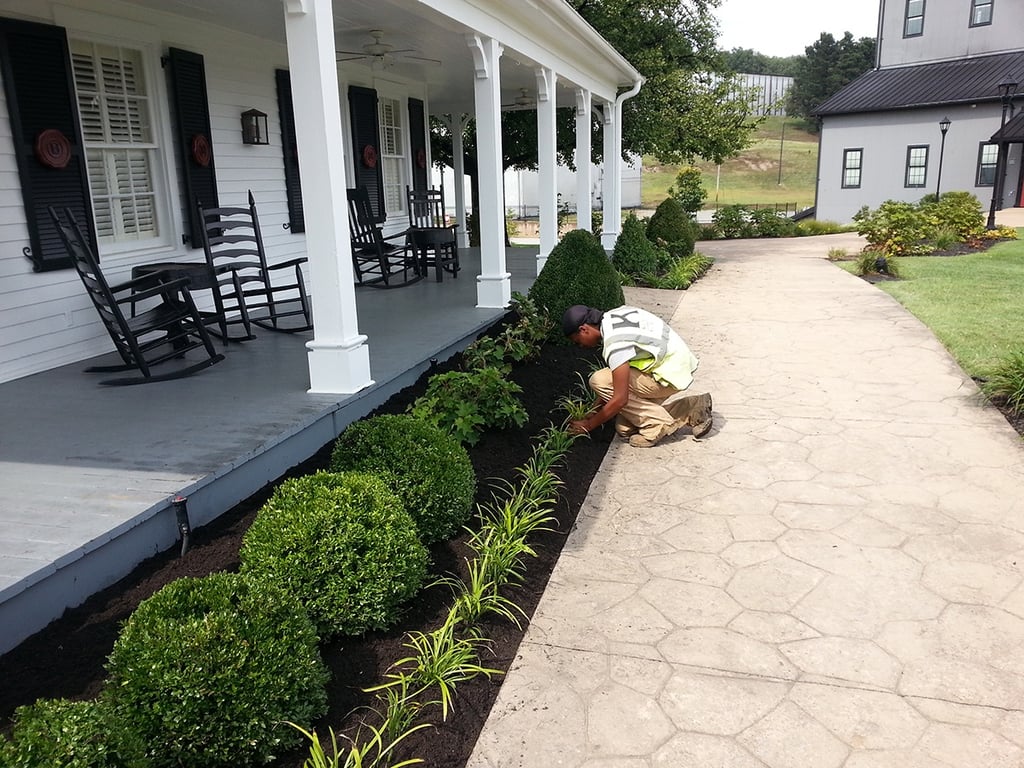 mulching in Kentucky