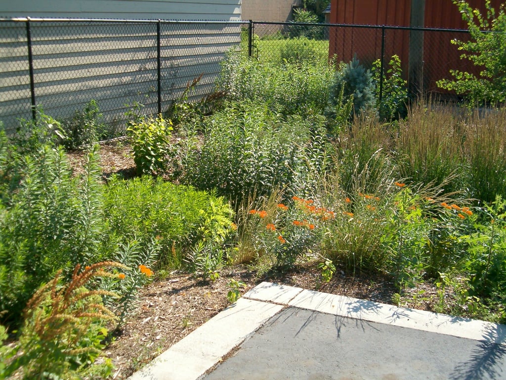 This is a rain garden in Kentucky