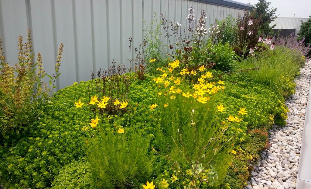 what is a green roof