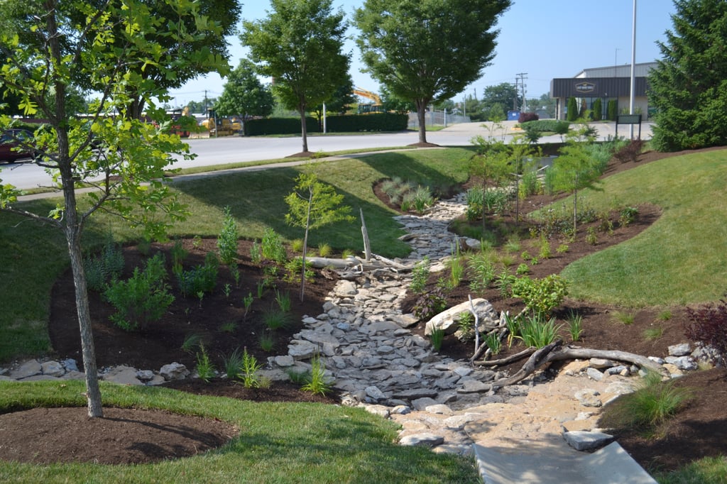 Advanced Rain Garden in Lexington Kentucky