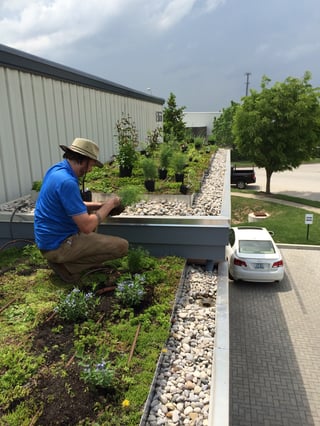 Green Roof