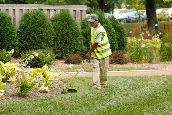 Employee Wearing the Safety Equipment