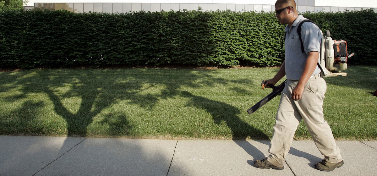 Commercial Landscaping Services