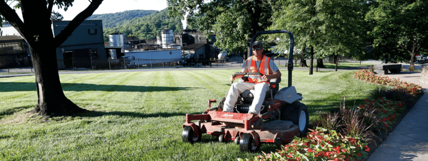 Alternate your mowing pattern each week.