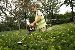 professional landscape employee appearance