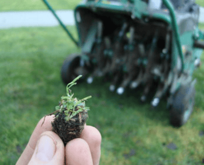 aeration lawn plug