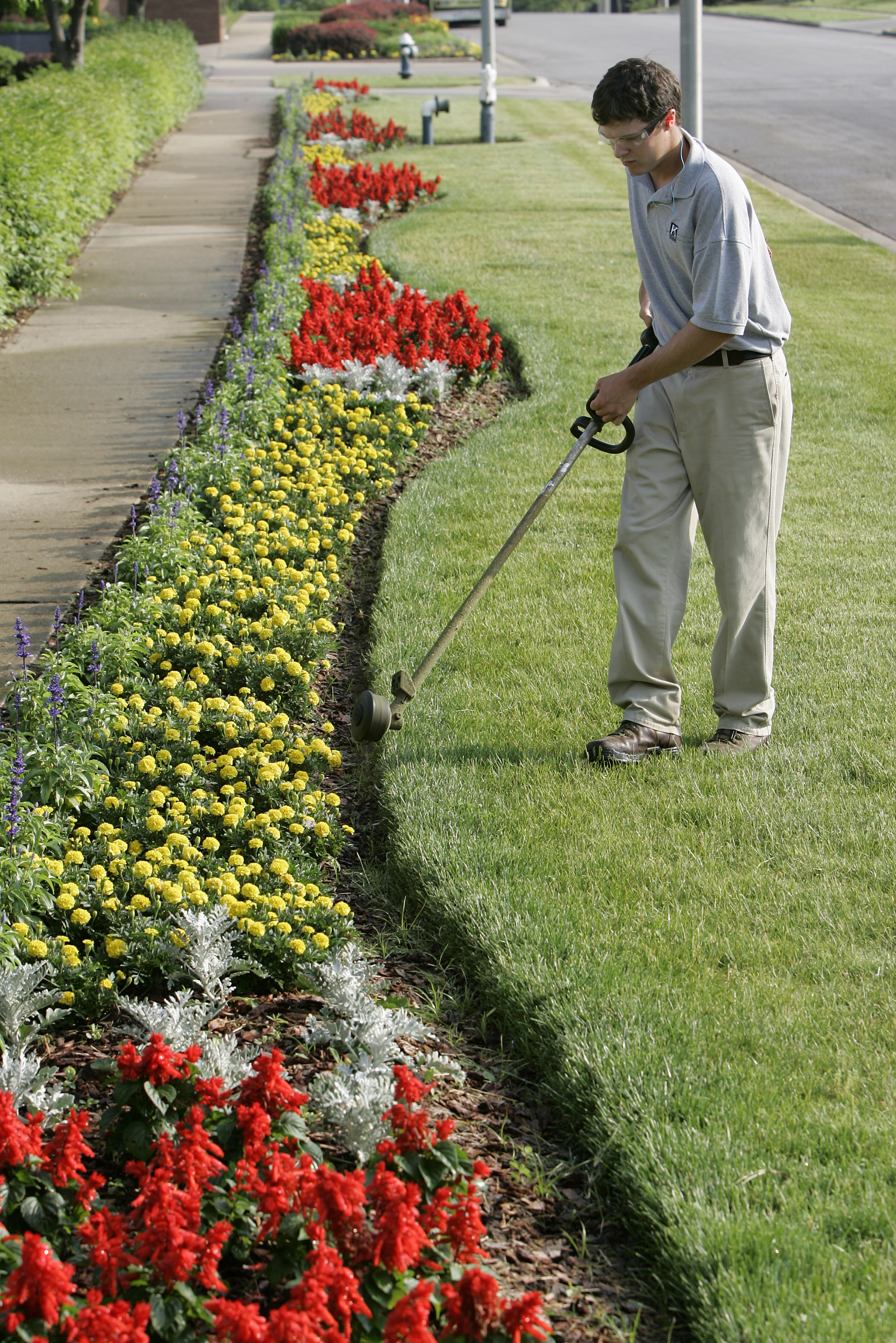 Bed Edging Techniques to Protect and Enhance the Trees on Your Property